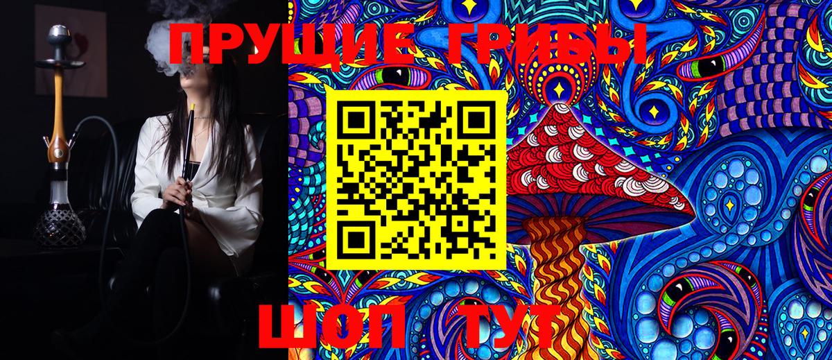 Галлюциногенные грибы GOLDEN TEACHER  Галлюциногенные грибы MAGIC MUSHROOMS  Вход с VPN  Новокубанск 