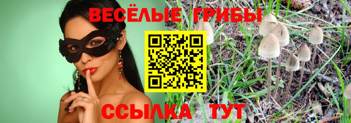 Галлюциногенные грибы Magic Shrooms Новокубанск